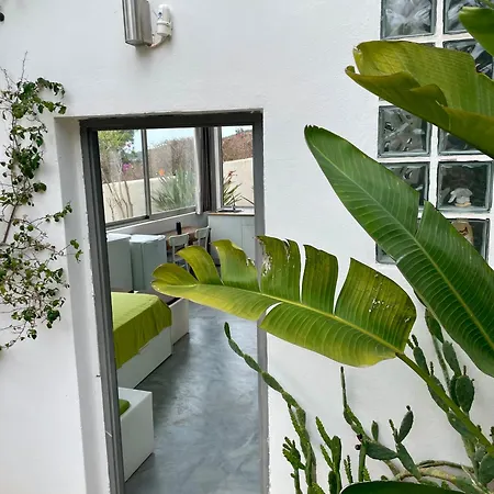 Apartment Private - Stunning View Salinas Ses Salines (Ibiza)