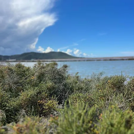 Apartment Private - Stunning View Salinas Ses Salines (Ibiza)